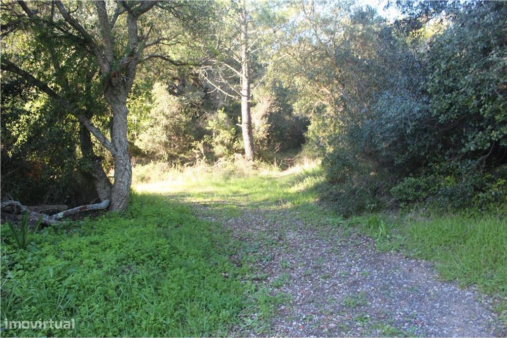 Terreno  para venda