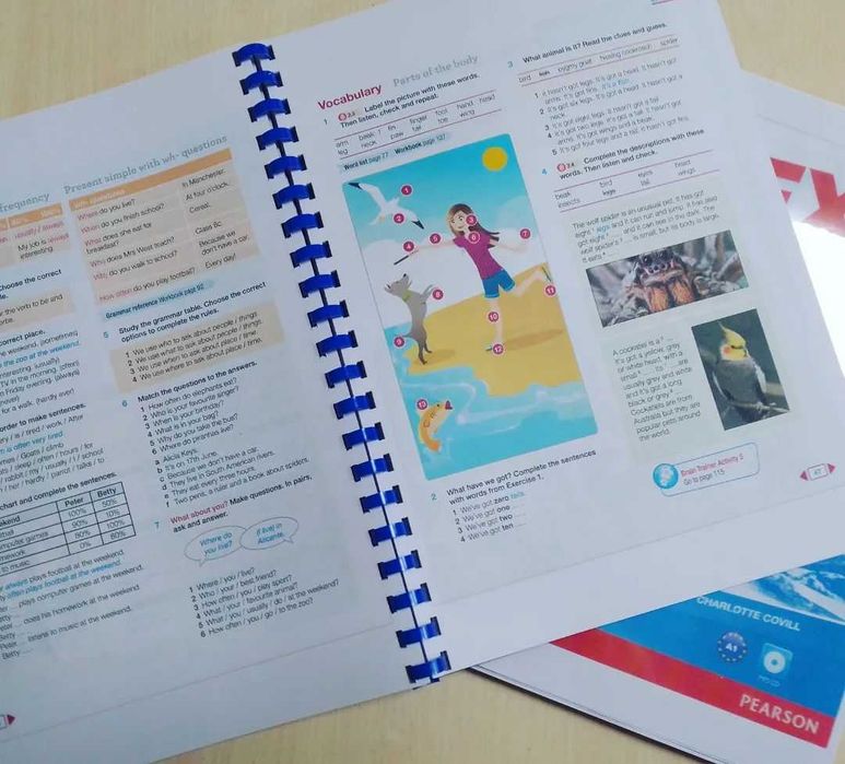 Next Move 1 - англійська мова