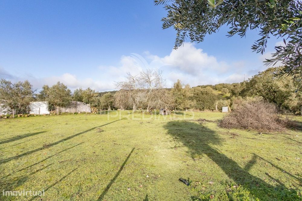 Terreno- Arraiolos, São Pedro da Gafanhoeira