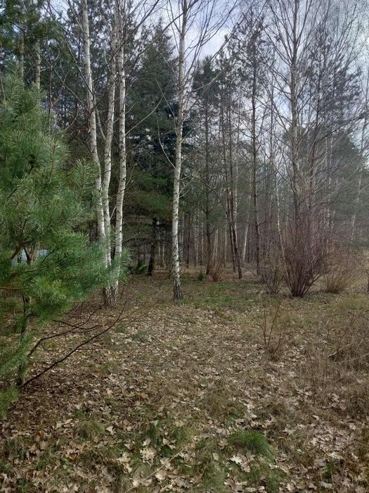 DZIAŁKA budowlana W Choroszczy