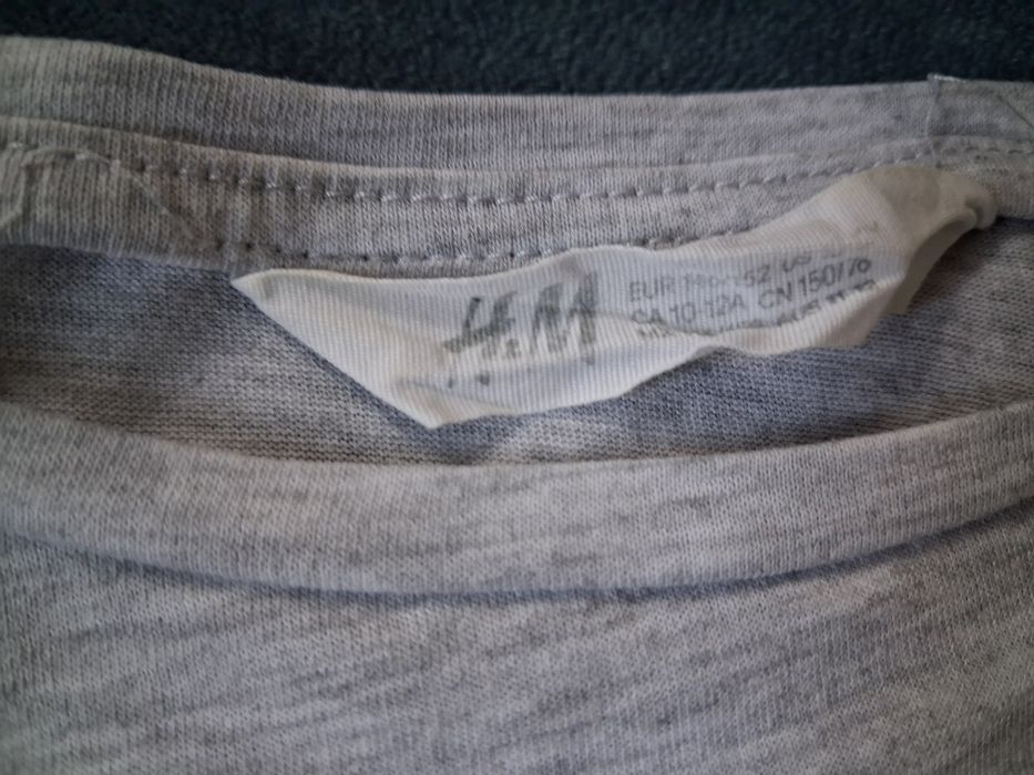 Bluzka H&M Pegaz 146/152