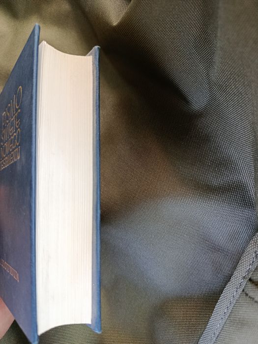 Pismo Święte Nowego Testamentu Pallottinun
