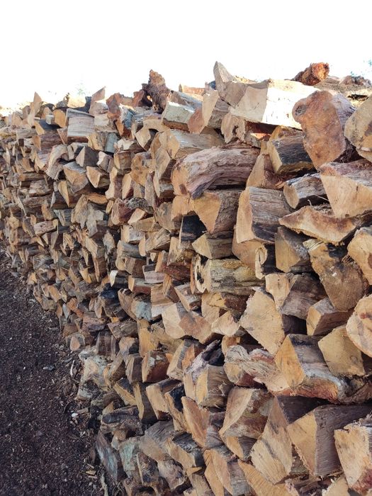 Lenha de sobro seca