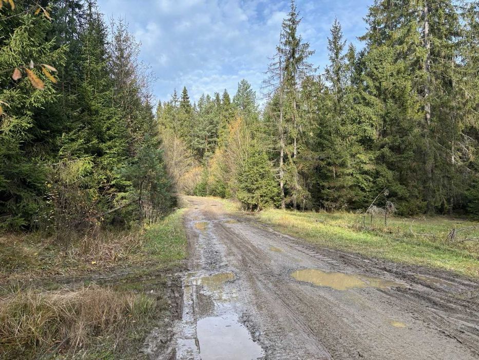 Działki leśne - 33a i 12a - Lipnica Wielka Centrum - łatwa obsługa