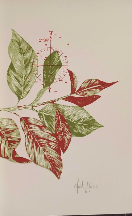 Serigrafia de Claudia Salgueiro