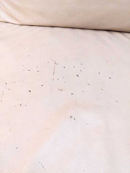 Sofá de pele em estado bastante razoável