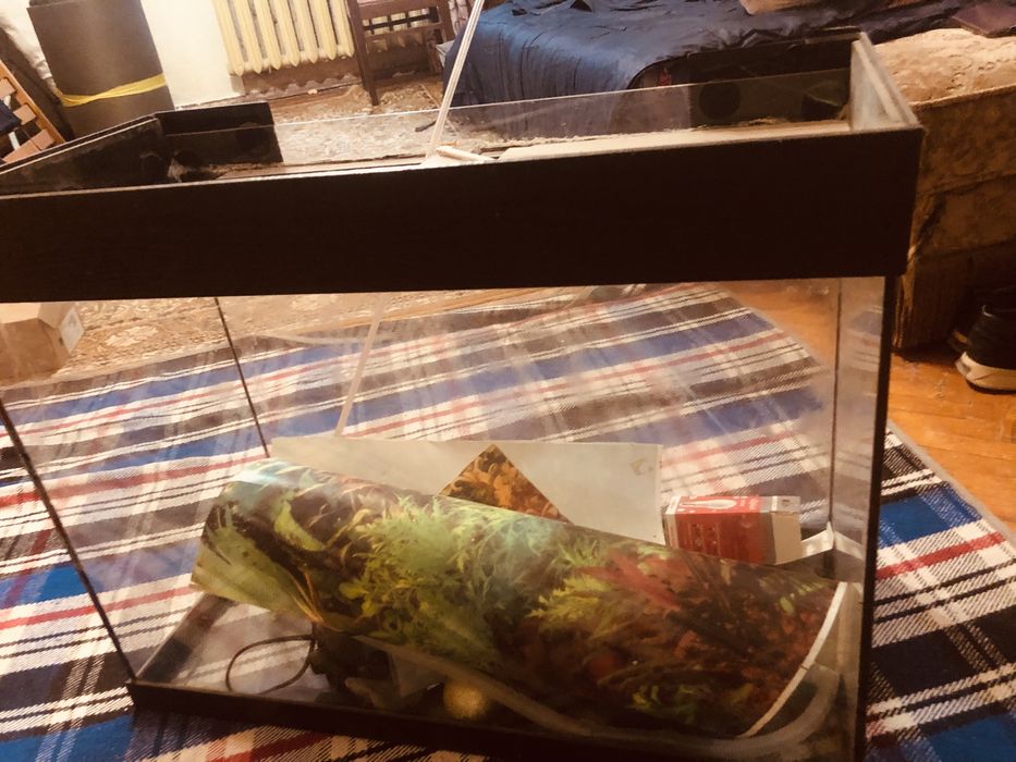 Аквариум большой