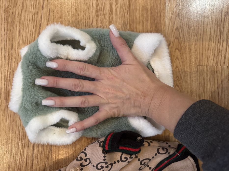 Одяг для котика песика