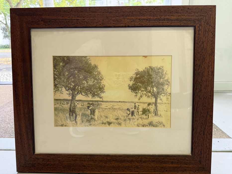 Quadros varios - molduras madeira