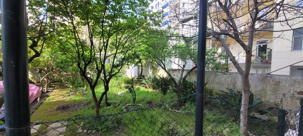 Jardinagem e manutenção
