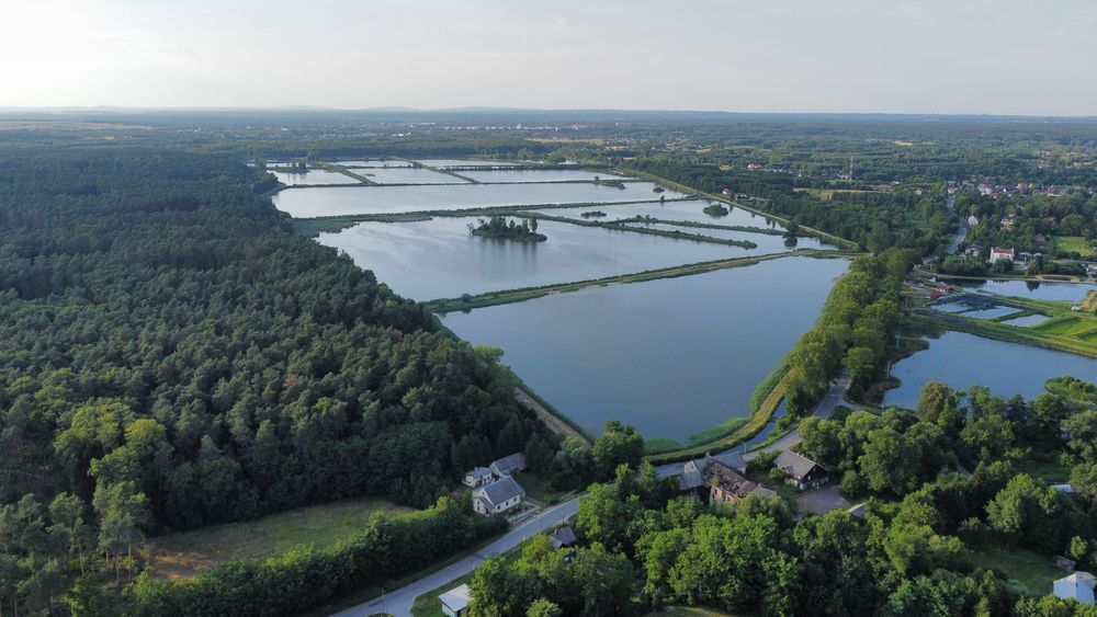 Działka budowlana Rytwiany-Grobla