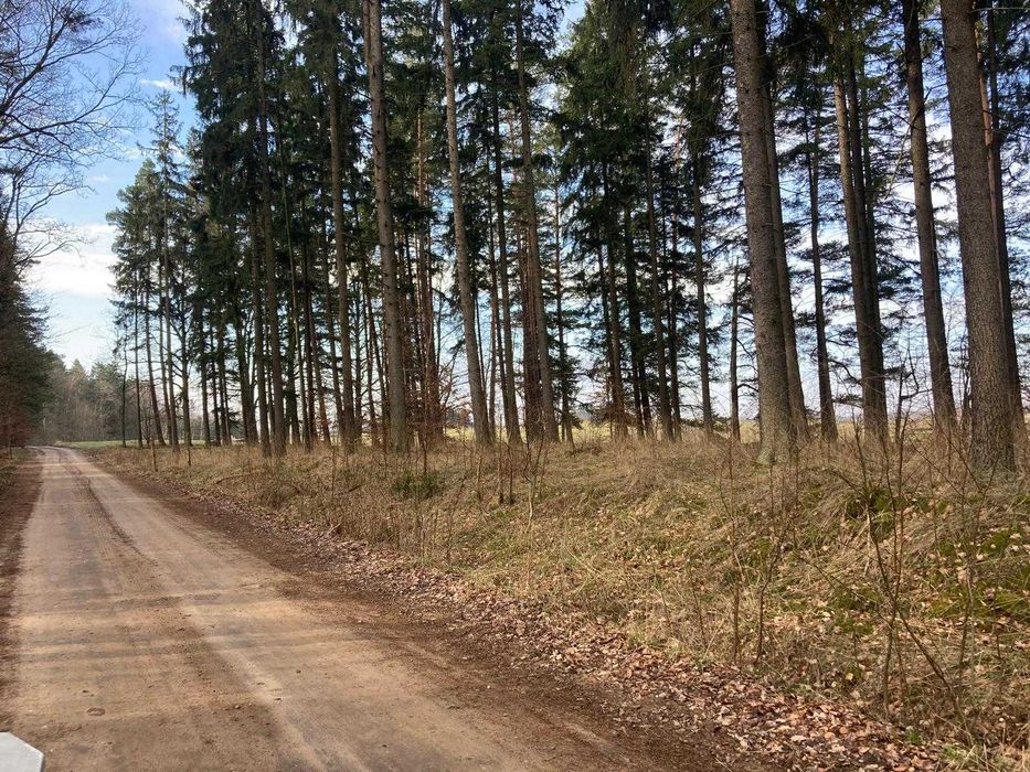 Leśny Zakątek – Mazury / Warmia – Domek nad jeziorem Dadaj – Ramsowo