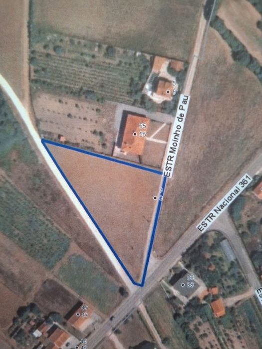 Terreno 3760m2 Papagovas - Casal Campina- Lourinhã