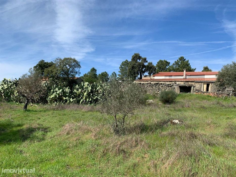 Quinta