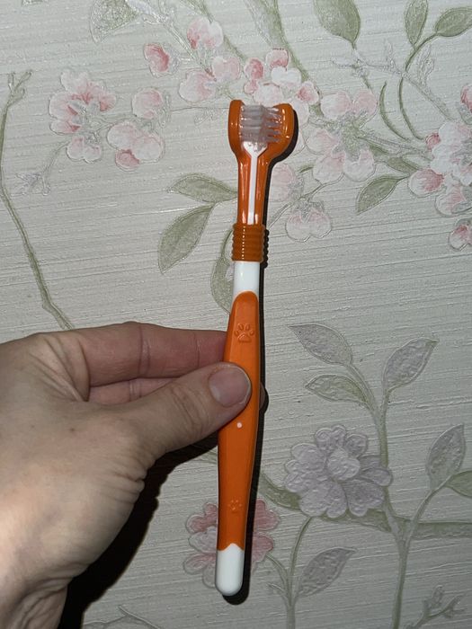 Фонтан фонтанчик поїлка поільник для кота кошеня зубна щітка подарунок