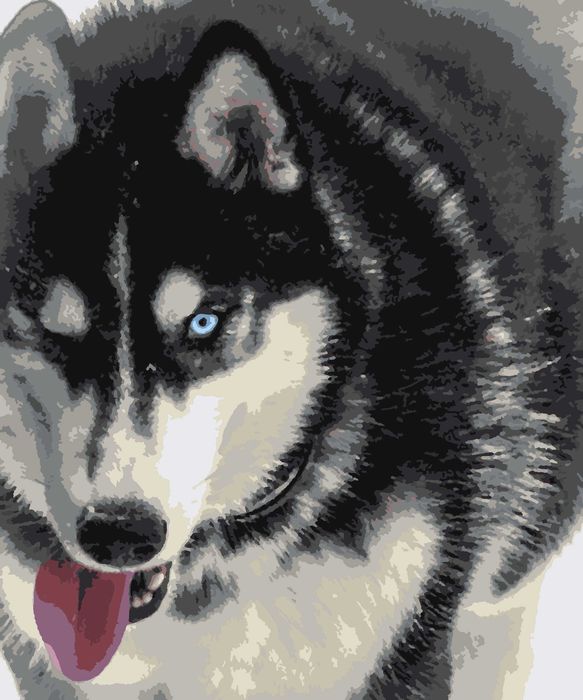 Картини по номерам з Вашого фото