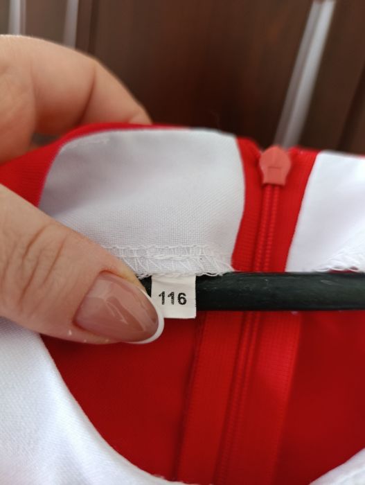 Вишита сукня на зріст 116 см