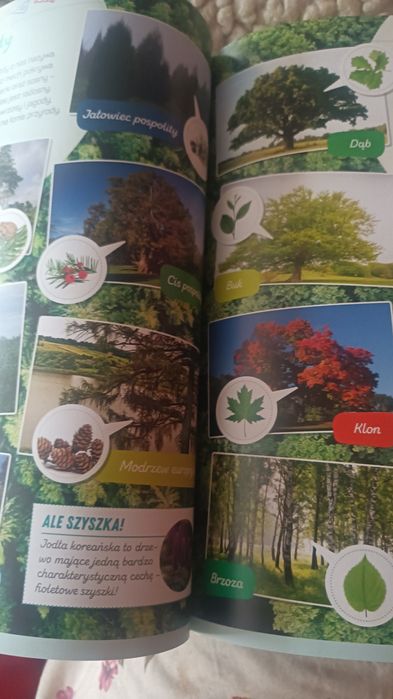 Encyklopedia dla dzieci, książka każdego bystrzaka