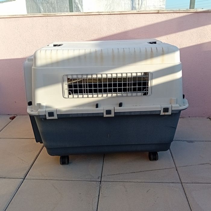 Caixa de transporte para animais