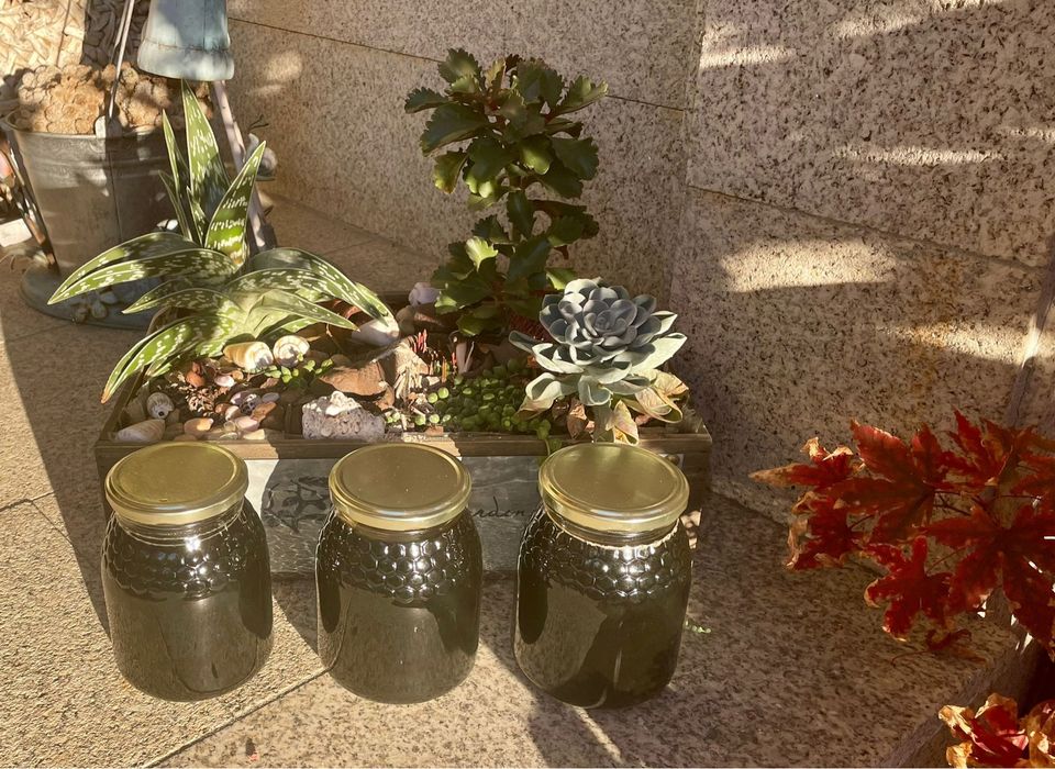 Mel de Montanha ( Montalegre)