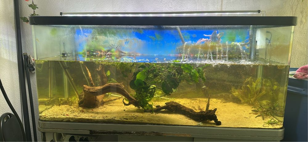 Aquario de 1,20m
