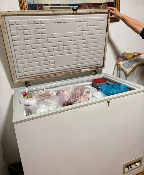 Arca congeladora Orima