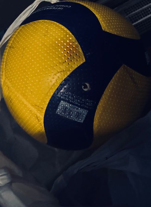 Волейбольний Мяч