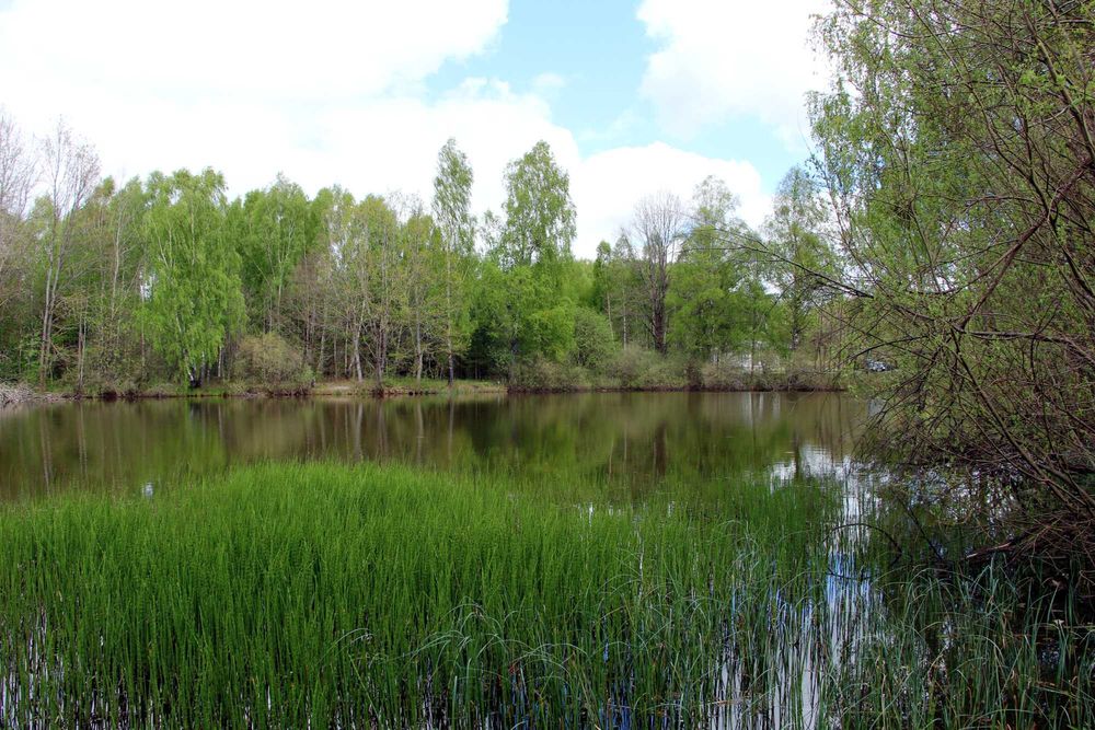 Działki budowlane Słupsk 15 min. Gdańsk lotnisko 90 min. cisza od ręki