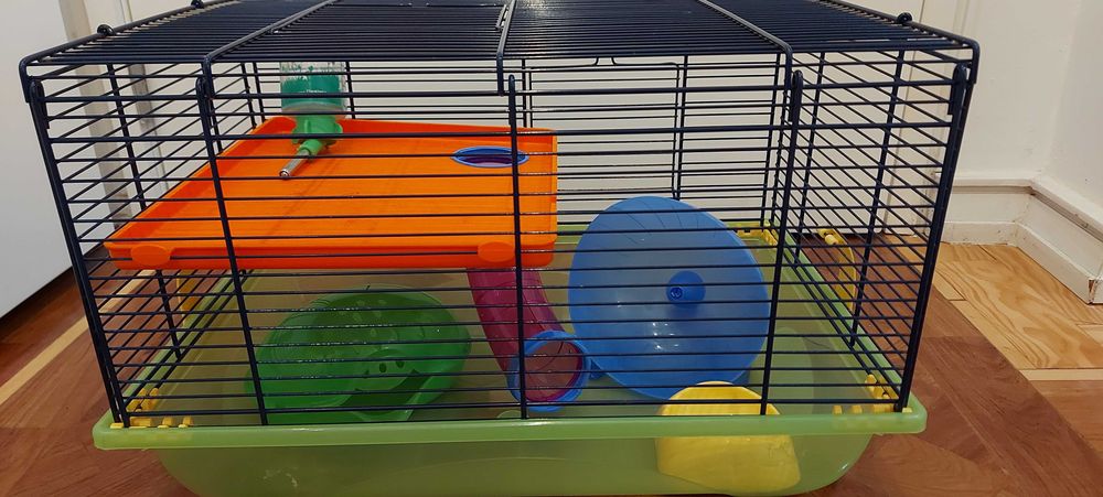 Gaiola para hamster com acessórios e brinquedo