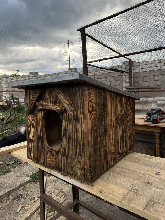 Собачі будки