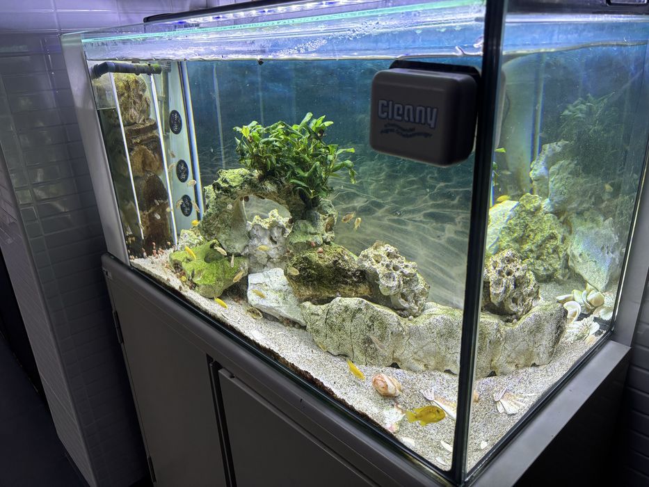 Aquario com sump interna