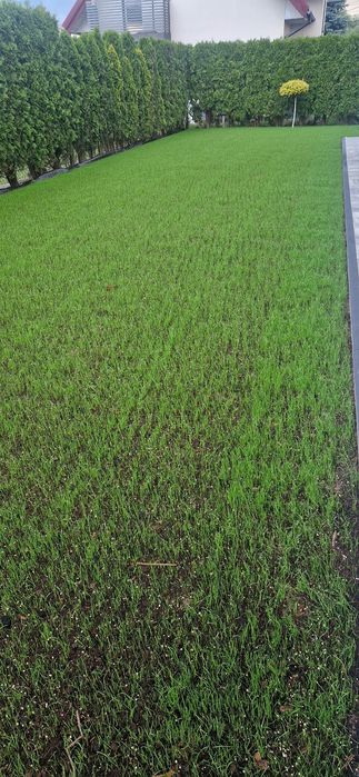 Usługi glebogryzarka separacyjna zakładanie trawników