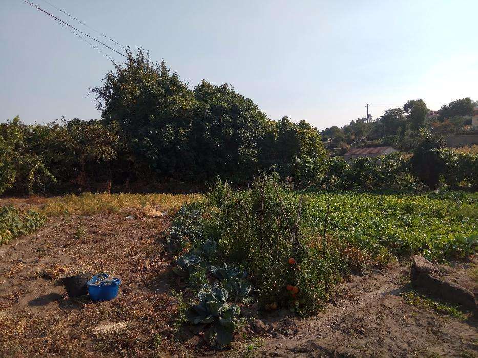 Casa para restauro com terreno Distrito de Viseu
