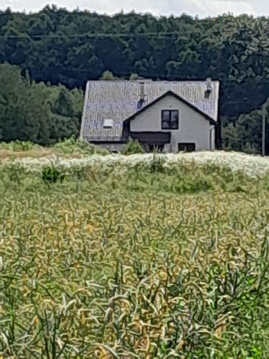 Продам земельну ділянку в с. Конопниця