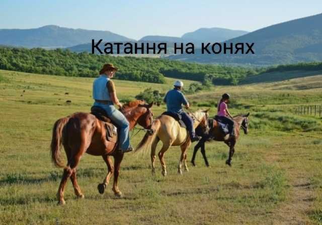 Оренда будинку "Гірська гармонія"в Ізках