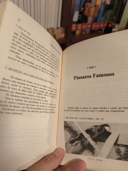 Livro curió e bicudo