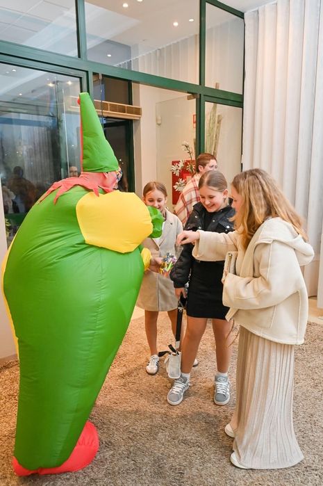 Insufláveis .Festas infantis Peniche