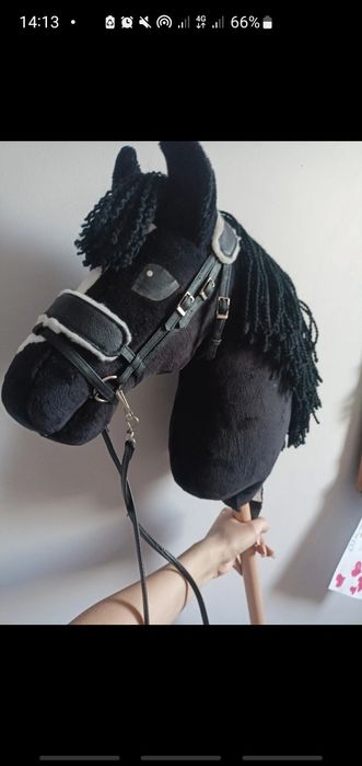 Hobby Horse konik