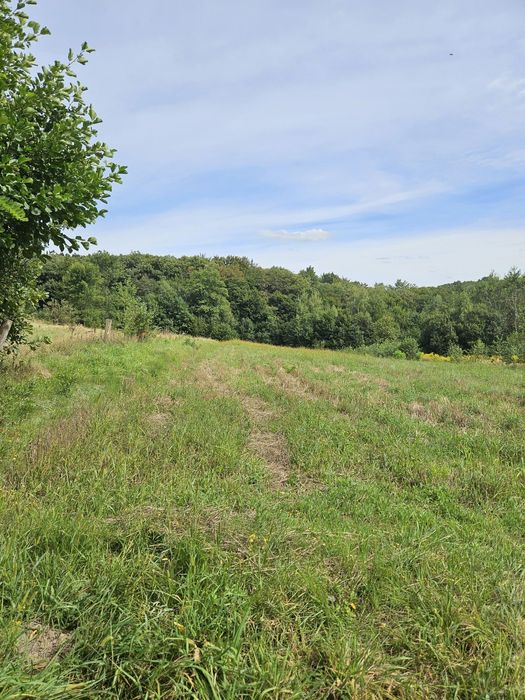 Продаж земельної ділянки під будівництво у с.Липники