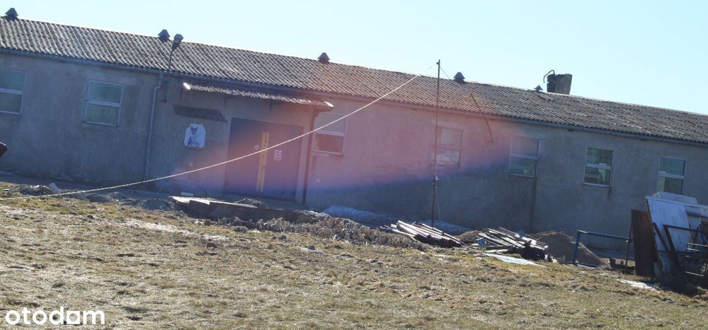 Działka inwestycyjna 8500m² z halą – usługi/rolna, dotacje - Widok 3