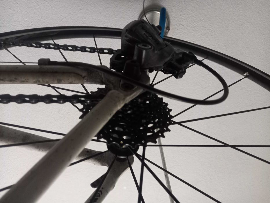 Bicicleta ciclismo Scott