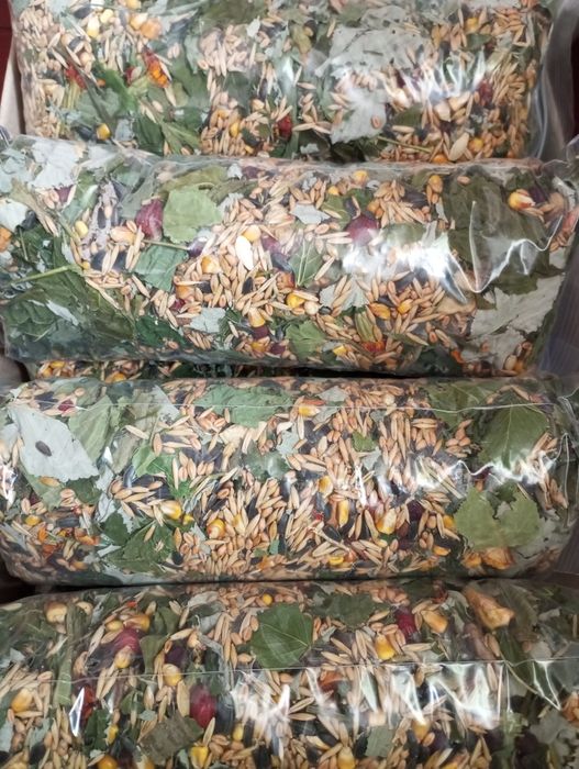 Корм для гризунів