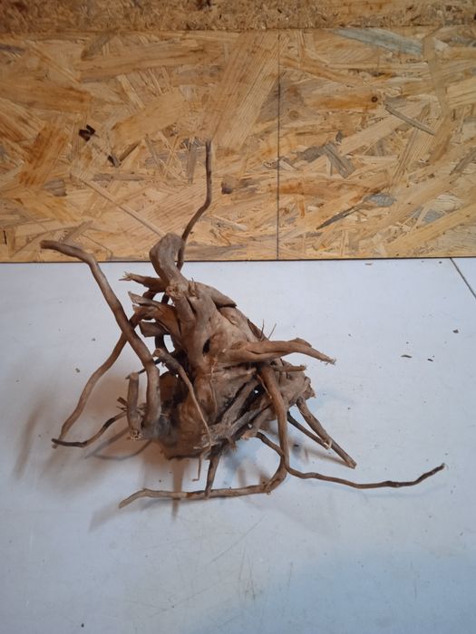 Korzeń do akwarium Red Moore Wood nr 69 o wymiarach 25/20/15