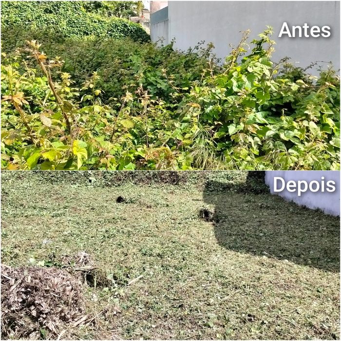 Limpeza de terrenos