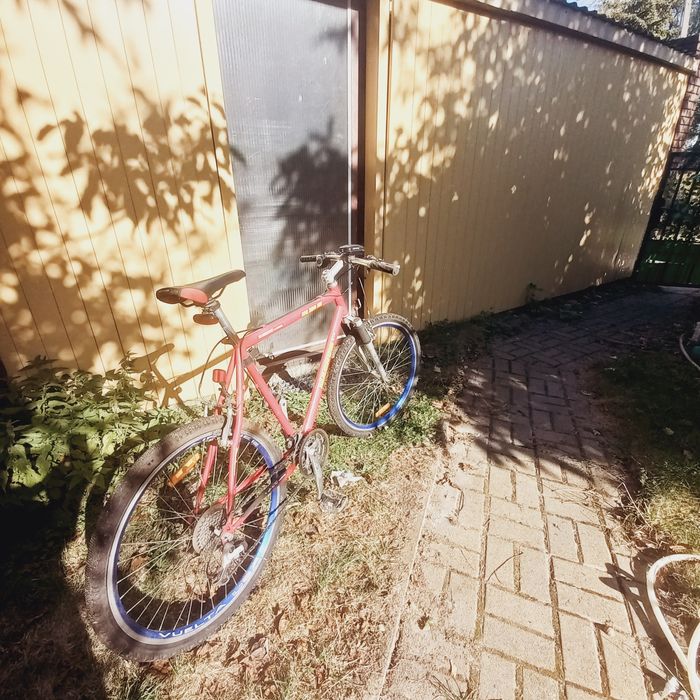 Rower męski "Magnum"