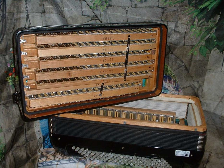 Acordeão Avenda G, .978