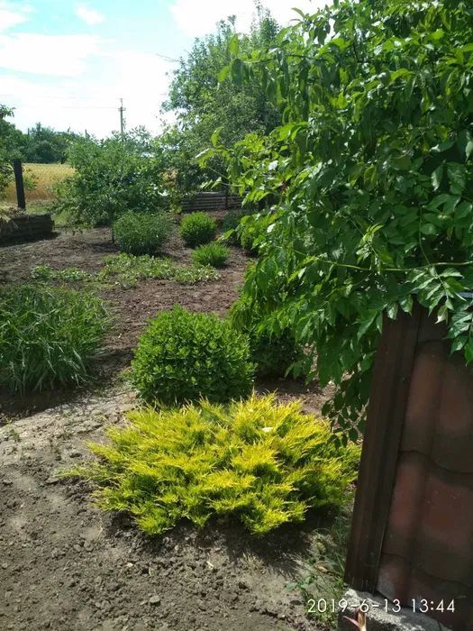 Продам дом в Знаменовке Днепропетровская область