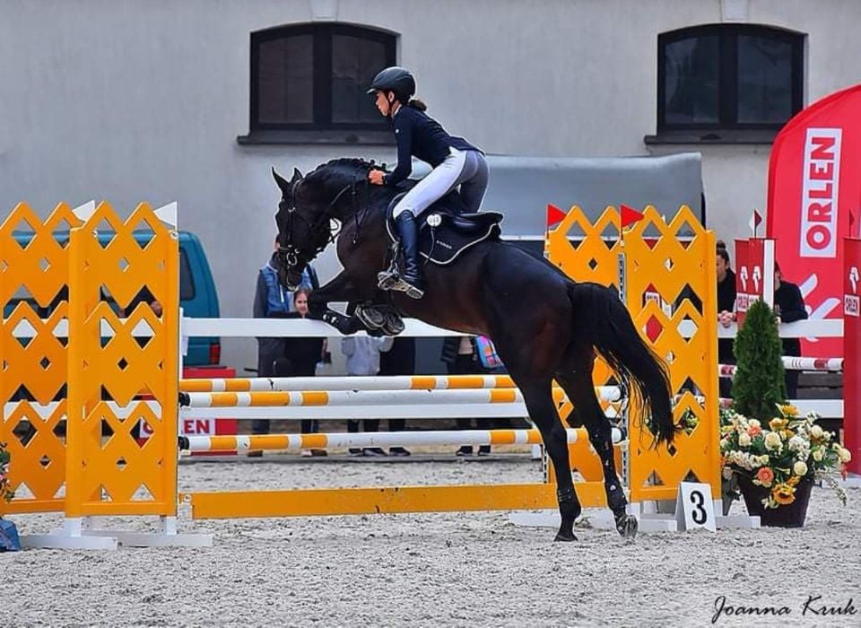 Stanówka Ogierem Małopolskim, Angloarabskimi, Huncwot