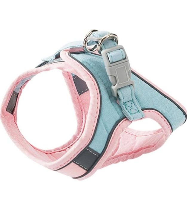 Szelki + smycz dla małych psów