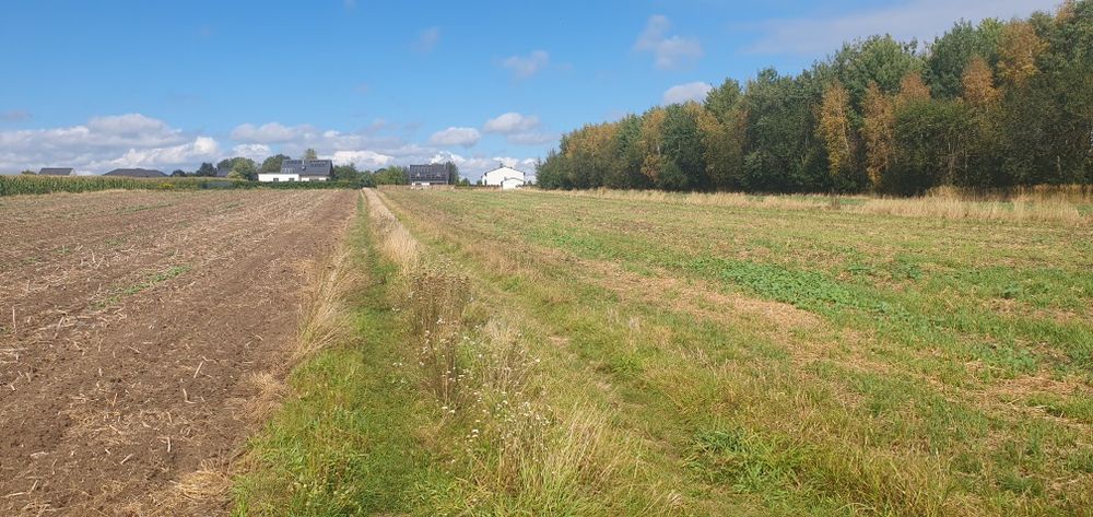 Działkę budowlaną sprzedam właściciel.